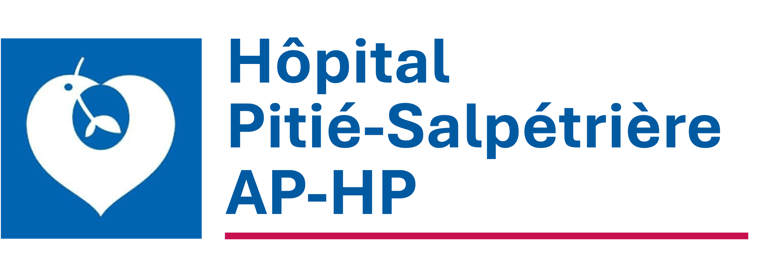 Pitié Salpétrière Hospital - World's top neurological hospital